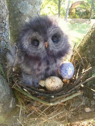 100 Handmade Woodsplitter Lee Cross Poseable Life Sized Baby Owl