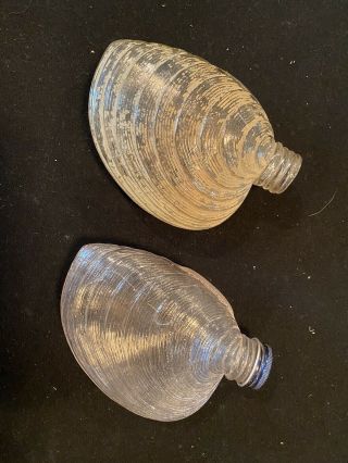 2 Shell Flask Glass Candy Container Foust