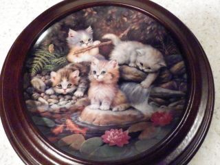 Bradford Plate In Wood Frame " Am Seerosenteich " Kittens At The Water Lily Pond