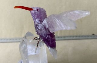 Amethyst Hummingbird on Quartz Crystal 5  - Peter Muller 2