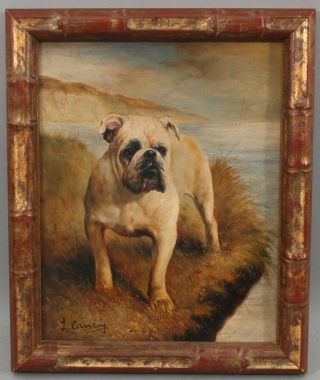 Laura Cassidy English Or American Bulldog Dog Portrait Oil Painting