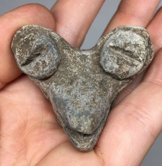 Pre - Columbian Terracotta Avian Bird Head Pottery Owl Ritual Fragment Ancient