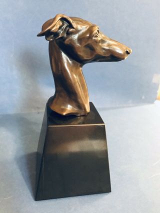 Bronze Italian Greyhound Whippet Head Study