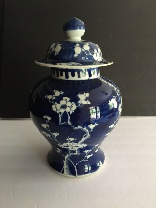 Antique/ Vintage Chinese Blue & White Prunus Ginger Jar Marks On Bottom 13.  5 " T