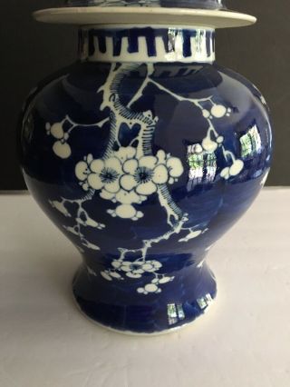 Antique/ Vintage Chinese Blue & White Prunus Ginger Jar Marks on Bottom 13.  5 