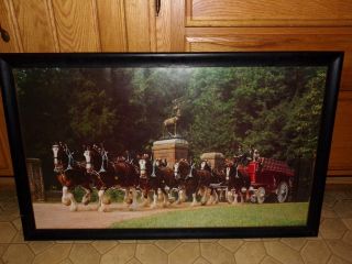 Clydesdale Horses With Carriage Picture Framed Large.  Vntg.  Royal? Or Budweiser