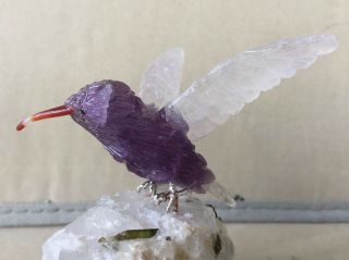 Amethyst Hummingbird on Tourmaline in Quartz 4  