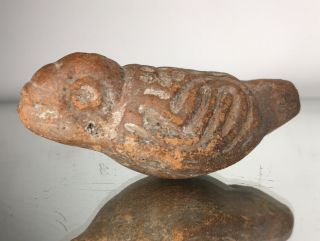 Ancient Pre - Columbian Terracotta Pottery Avian Bird Effigy Whistle Pendant