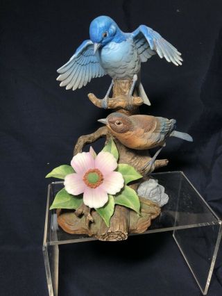 Andrea By Sadek Mountain Blue Bird Figurines Porcelain - Repaired