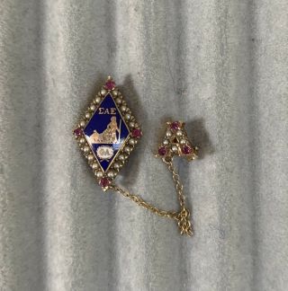 Sigma Alpha Epsilon Fraternity Pin With Pearls And Rubies