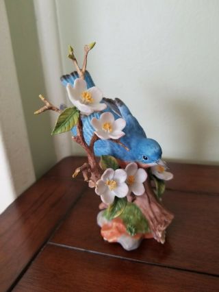 Songbird Maruri Usa Porcelain Bird Figurine,  Bluebird Apple Blossoms