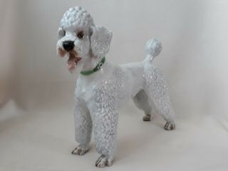 Rosenthal German porcelain poodle large dog figurine by KARNER 2