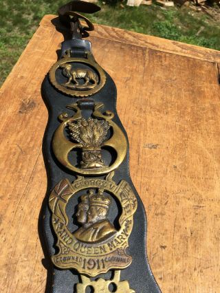 Antique Horse Brass Set Of 5 & Martingale Harness George V Wolf Camel Wheatsheaf
