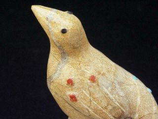 Spirit Bird Fetish Carving Zuni Stone,  Hayes Leekya Zuni Pueblo Native American