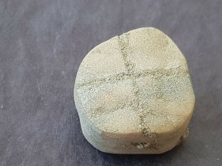 Very Rare Indeed Viking Stone Gaming Piece.  L158d