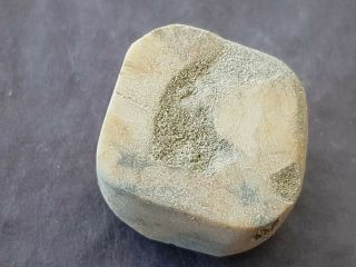 very rare indeed Viking stone gaming piece.  L158d 3
