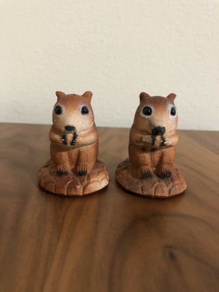 Vintage Ceramic/pottery Squirrel Salt And Pepper Shakers