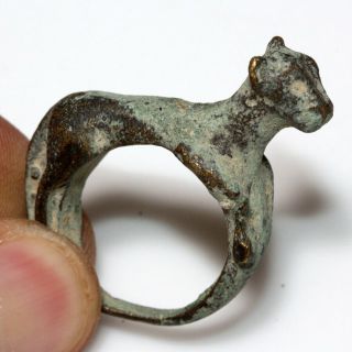 Near East Ancient Or Medieval Bronze Ring With Panther On The Top