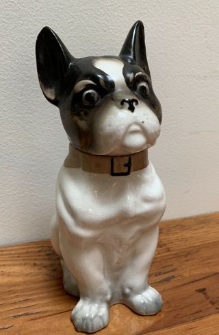 Vtg Boston Terrier French Bulldog Dog Decanter Ceramic Figurine Japan