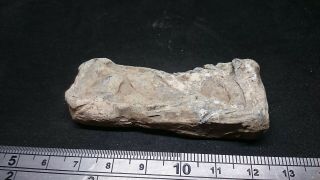 Very Rare Roman Lead Plaque Bottom Been Sliced Off,  Found In York In 1964 L1l
