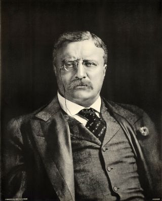 Authentic 1912 Theodore Roosevelt Campaign Poster (3582)