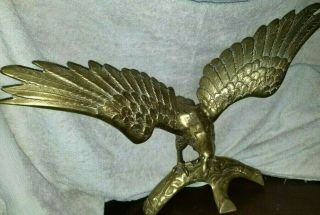 Large Vintage Brass American Eagle Statue On Branch 22 " Wing Span 15” Tall