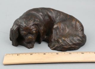 Small Antique Early 20thc Cavalier King Charles Spaniel Dog Bronze Sculpture,  Nr