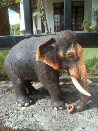 Ceylon Handmade Elephant (using Elephant Dung) For Home Decor 6.  5 Inch