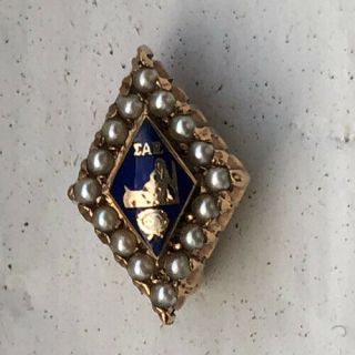 Vintage Sigma Alpha Epsilon Fraternity Pin Badge 10k Gold With Seed Pearls