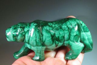 3.  4 " Natural Green Malachite Tiger Crystal Carving Gemstone Gifts 9544