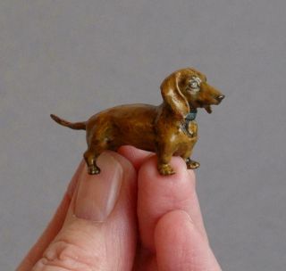 Cute TINY Vintage COLD PAINTED BRONZE Miniature DACHSHUND DOG Sausage/Weiner 2