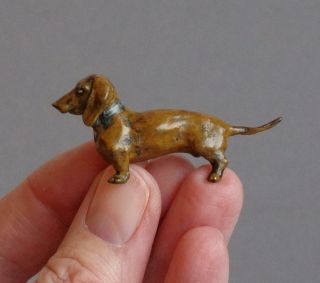 Cute TINY Vintage COLD PAINTED BRONZE Miniature DACHSHUND DOG Sausage/Weiner 3