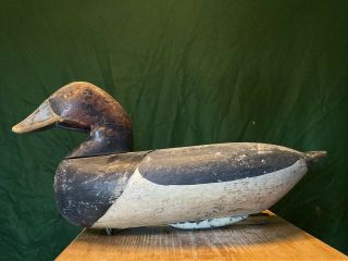 Old Antique Vintage Wood Duck Decoy Mason Scaup Bluebill Hen Standard