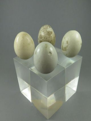 4 x Vintage Ceramic Dummy Nest Eggs Crock Eggs Chicken Eggs 2