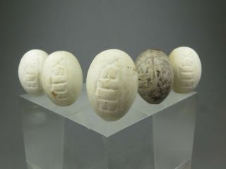 5 X Vintage Ceramic Quail Dummy Eggs Eltex Eggs Crock Eggs Nest Eggs