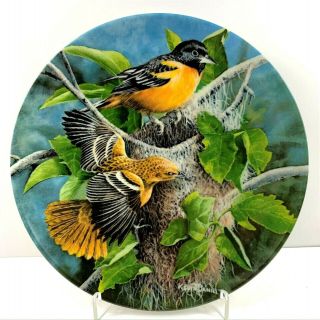 Vintage Edwin M.  Knowles Birds of Your Garden by Kevin Daniel Fine China Plate 2