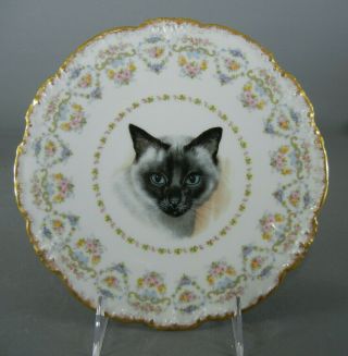 Antique J.  P.  Limoges China 8 1/2 " Plate - - Cat Portrait