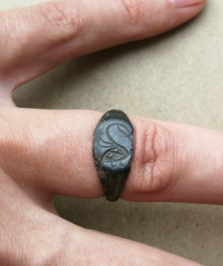Ancient Viking Bronze Fabulous Status Ring Runic Ornament " Dragon " Very Rare