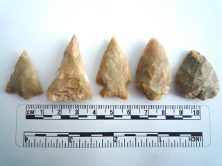 5 X Native American Arrowheads Found In Texas,  Dating From Approx 1000bc (2201)