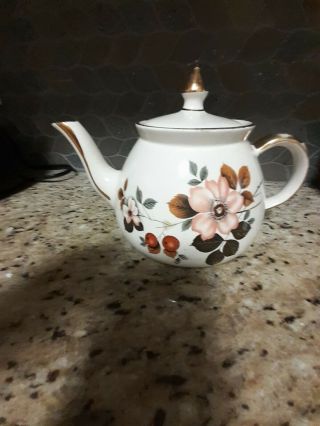 Vintage Gibsons Staffordshire,  England Teapot,  Floral Ivory And Gold,  Numbered