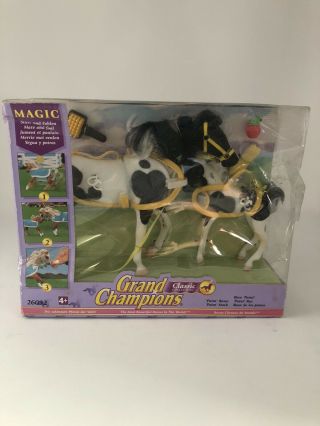 Grand Champions Mate And Foal Paint Set.  This Is A Signed Aesthetic Set.