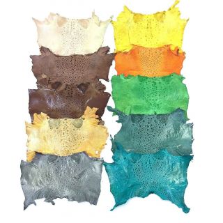 Bufo Marinus Cane Toad Skin Professionally Dyed Craft Leather Set Of 10 Glossy 1