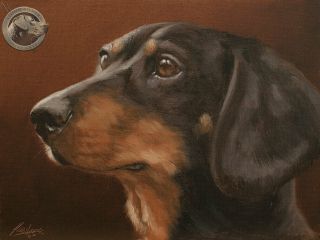 Miniature Dachshund Dog Portrait Oil Painting By Uk Artist John Silver
