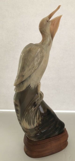 Vintage Pelican Sculpture Carved Painted Buffalo Horn On Wood Base 2
