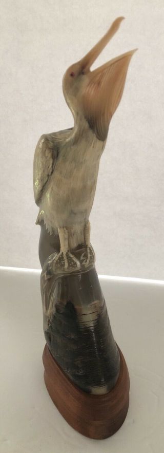 Vintage Pelican Sculpture Carved Painted Buffalo Horn On Wood Base 3