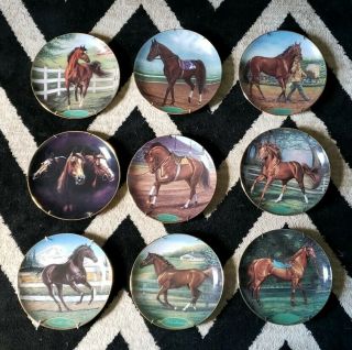 Set Of 9 Champion Thoroughbreds,  Noble And Porcelain Horse Plates Susie.