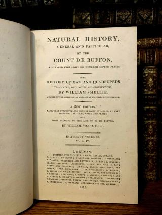 1812 BUFFON ' S NATURAL HISTORY - Domestic Animals,  Horses,  Dogs w/ 48 engravings 3