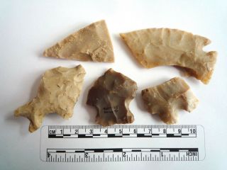 Native American Arrowheads Found In Texas X 5,  Dating From Approx 1000bc (2248)
