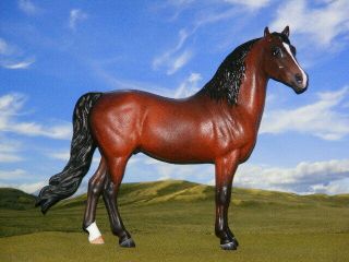 Ooak Breyer Cm Custom Classic Horse Morgan X D.  Williams Bay
