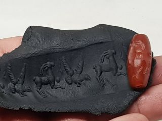Extra Rare Museum Quality Ancient Carnelian Cylinder Seal 7 Gr 29 Mm